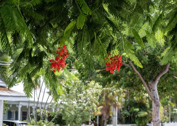 The Porch On Frances Inn - Adults Exclusive