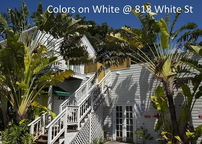 Vacation rental: Colors On White